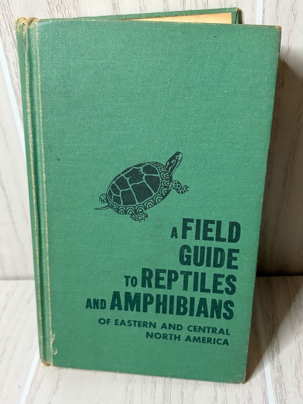 A Field Guide to Reptiles and Amphibians -1973